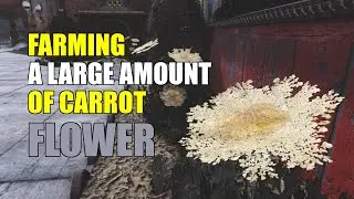 FALLOUT 76 - THE BEST PLACE TO FARM CARROT FLOWER?