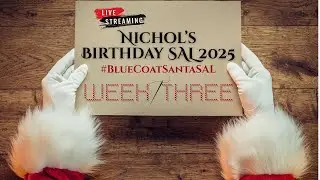 Blue Coat Santa Stitch Along | Week 3