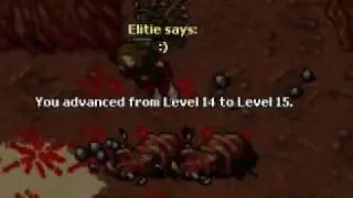Tibia - Life Of Elitie