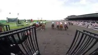 Keeneland view from the starting gate