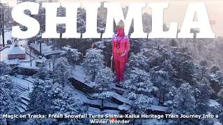 Snowfall update Shimla | Snowfall in Shimla | Shimla weather today | Kufri| Shimla today | Toy Train