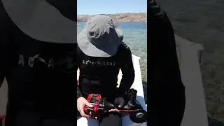 Nemo Tools Go Lakeside