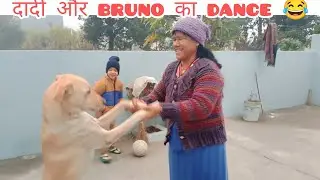 दादी और bruno का dance🙂