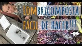 ¿ cómo hacer un LOMBRICOMPOSTERO FACIL⁉️ ✅🌽 SECRETO para que se REPRODUZCAN como locas!