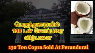 Perundurai Copra Society Copra Sale News | रवि सूखा नारियल | सूखे नारियल | सूखे गोला | கொப்பரை ஏலம்