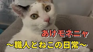 2026年初登場　あけモネ