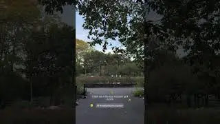 Brooklyn Botanic Garden 🌸🌳