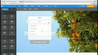 How to Make a Quick Landing Page on Weebly!