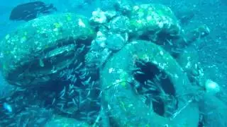 Tire Reef