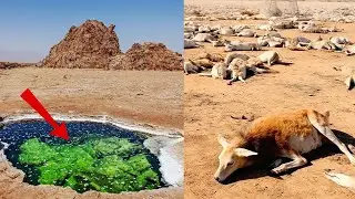 10 Deadliest And Most Dangerous Deserts On Earth