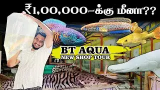 ₹1,00,000-க்கு மீனா?? 😱 BT Aqua New Shop Tour