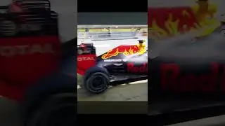 Max Verstappen debut race edit #maxverstappen #f1champion