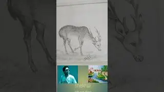 হরিণ আঁকা 🦌🦌 (Deer Drawing) #shorts video #Viral Video #Shekhar   Chandra.