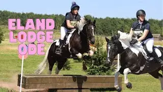 A SUCCESSFUL DAY EVENTING!