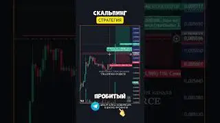 Скальпинг стратегия - результат гарантирован #trading #profit #scalping #scalpingstrategy #трейдинг