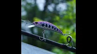 Aliexpress - BassLegend Fishing Heavy Sinking Minnow Crankbait Pike Trout Bass Lure Action Review