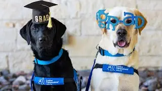 Graduation Ceremony | South Central Region | February 13, 2026 | Canine Companions