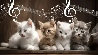 Relaxing Cat Sleep Music 💤 Soft Piano & Gentle Sounds to Help Your Cat Sleep Peacefully