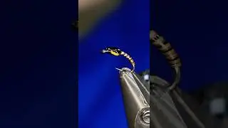 Simple Buzzer fly pattern!