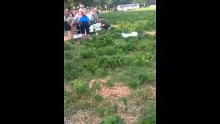 Strawberry plocking in sweden with Romanian people