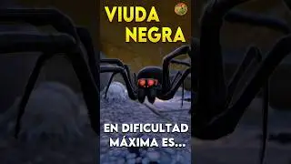 El enemigo m&aacute;s 