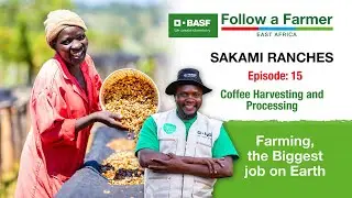 Sakami Ranches Episode 15: Farm Manager Moses takes us through coffee harvesting and processing