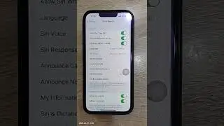carplay voice control phone setting