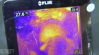 FLIR C2 Box Turtles Mating non stealthy GCBT001 GCBT003