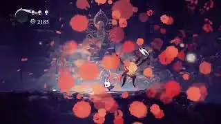 Hollow Knight