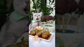 How To Make Desserts With Fruits?😋🍰| Lychee & Strawberry🍓 #catsofyoutube #foodlover #tiktok