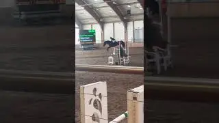 Zawodyyyy🎀🤩wkoncu na hali a nie tylko na dworzu😍🫶🏼 #dc #horse #equestrian #ytshorts #fyp