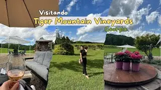 🍇 Un vi&ntilde;edo con alma en Georgia | Tiger Mountain Vineyards 💛