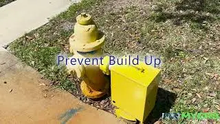 Auto Flushers