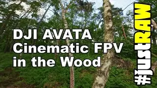 DJI Avata Cinematic through the Woods in Germany #justRAW
