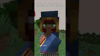 When You Accidentally Hit a Wandering Trader in Minecraft