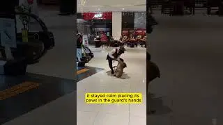 Security Guard&rsquo;s Unexpected Act of Kindness Stuns Mall Crowd 🐶❤️ #shorts
