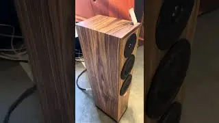 Dynaudio 🔊🔥😍 #hifi #loudspeaker #music #hifiaudio #highendaudio