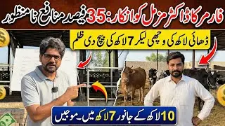 35 percent profit Rejected by farmers II Cheap animals sold in 7 lac II Heifer feasibility 2025