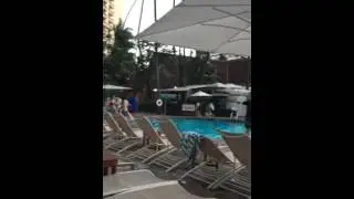 Sheraton Princess