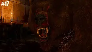 Collecting Helper In Skellige!! | The Witcher 3: Wild Hunt | #17