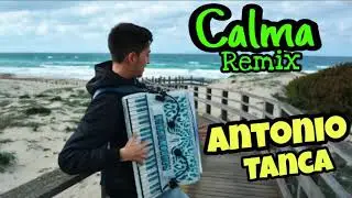 Calma Remix - cover fisarmonica (Pedro Capó - Farruko) Antonio Tanca