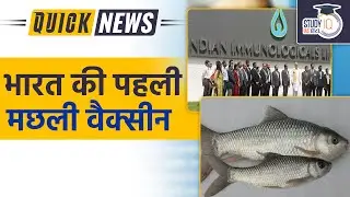Indian Immunologicals Partners CIFE to Develop First Fish Vaccine | Study IQ IAS Hindi |UPSC PT 2023