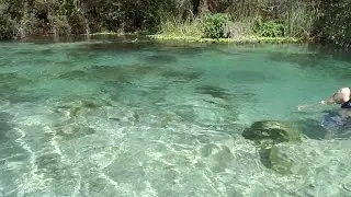 EPIC FLORIDA PARADISE (Weeki Wachee Springs)
