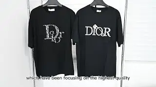 dior t shirt series