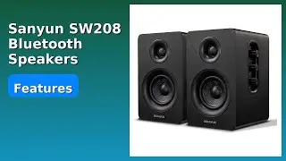 REVIEW (2025): Sanyun SW208 Bluetooth Speakers. ESSENTIAL details.