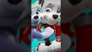 paw patrol - Marshall & Everest Moments💞💕🥰😘🤗