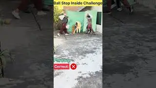 🔥 Stop 3 Balls in the Square = WIN! 😱🎯