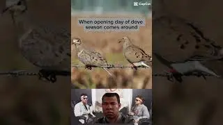 Opening day of dove season! #hunting #dove #funny #dovehunting #doveseason #shorts