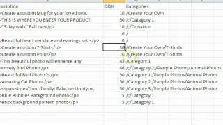 CSV Product Import.flv