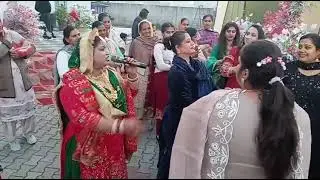 Nirmal jaggo group Ludhiana Punjab 👍 Booking All India open 😍,,78144-88123,#explore #ludhiana #like 